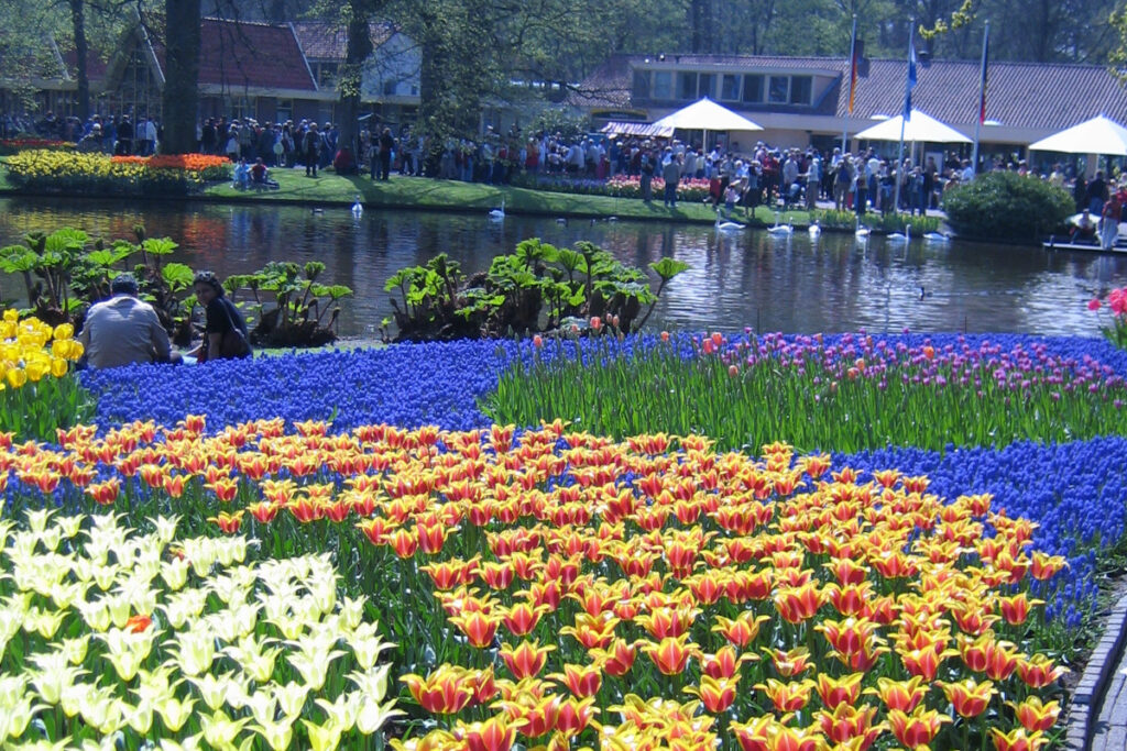 Keukenhof jokiristeily Samimatkat