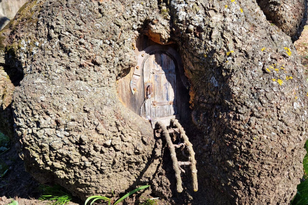 Itä-Viron kiertomatkalla voi bongata maahisten koteja Toila Orussa Samimatkat