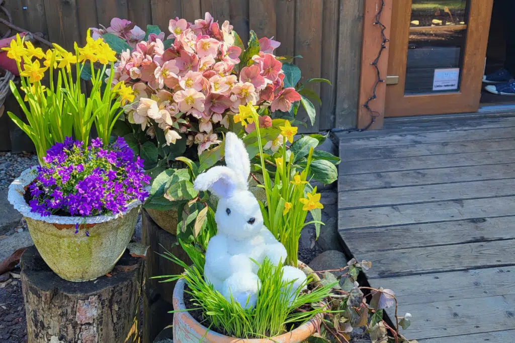 Samimatkat valmismatkat ja kiertomatkat Riikaan. Pääsiäisistutus Riiassa.