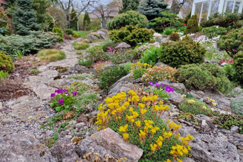 Samimatkat-puutarhamatkat-Viroon-Svetlanan kivikkopuutarha Tallinnassa.