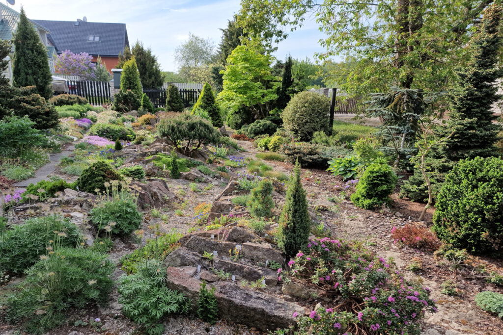 Samimatkat -puutarhamatkat Viroon, Svetlanan kotipuutarha Tallinnan lähellä.