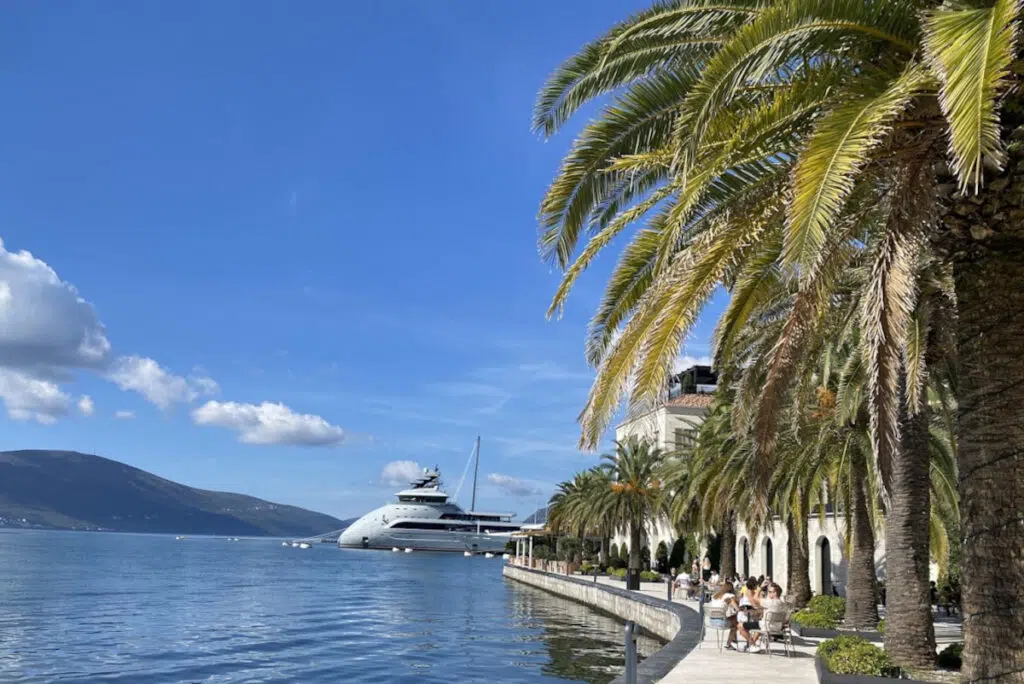 Samimatkat-valmismatkat, Montenegron matkat, kuvassa palmuja ja meri