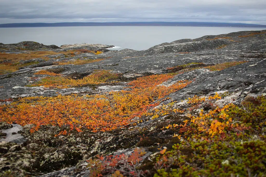 Samimatkat-ruskamatkat: Varangin niemimaa Itä-Norja.