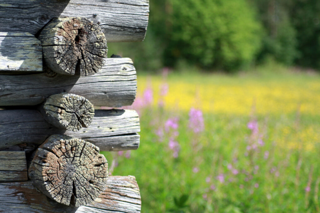 Samimatkat: Myyttinen Suomi, kuvia Suomesta.