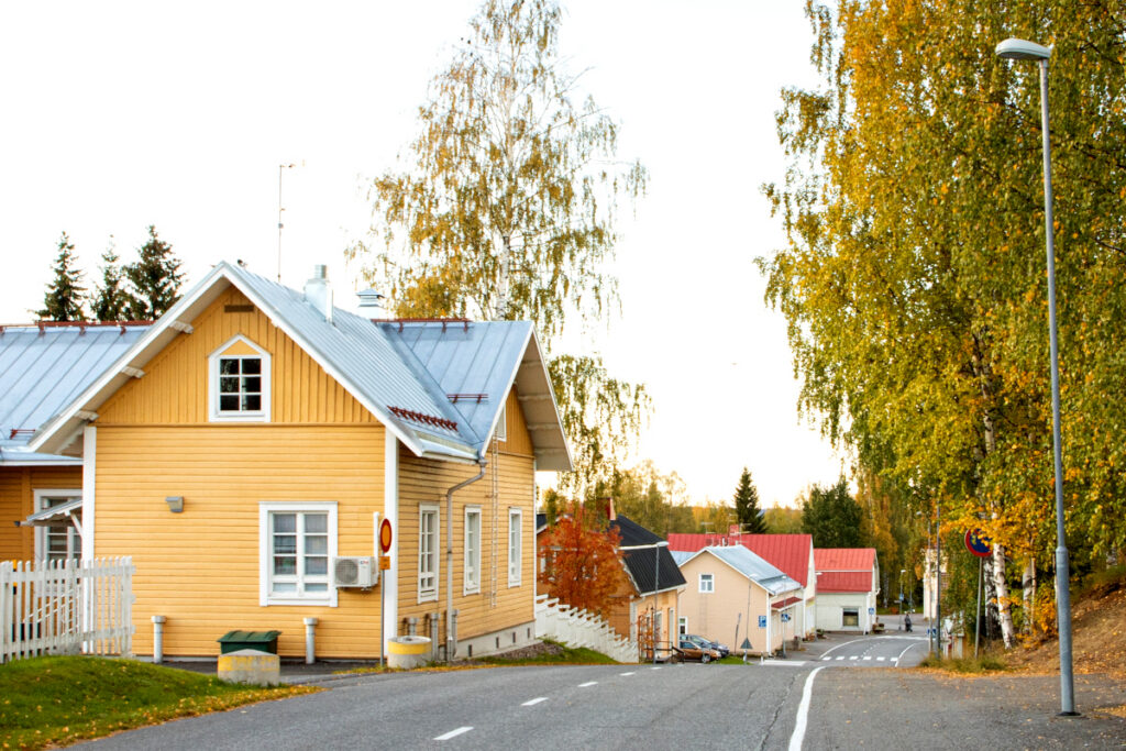 Samimatkat: Myyttinen Suomi -kiertomatkat. Puu-Juuka, puutaloalue.