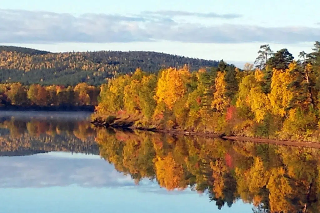 Samimatkat-ruskamaisemia Itä-Lapissa