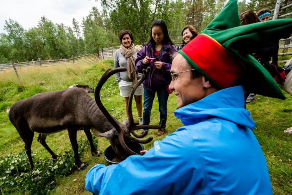 Samimatkat-ruskamatkat-Itä-Lappiin: Poro