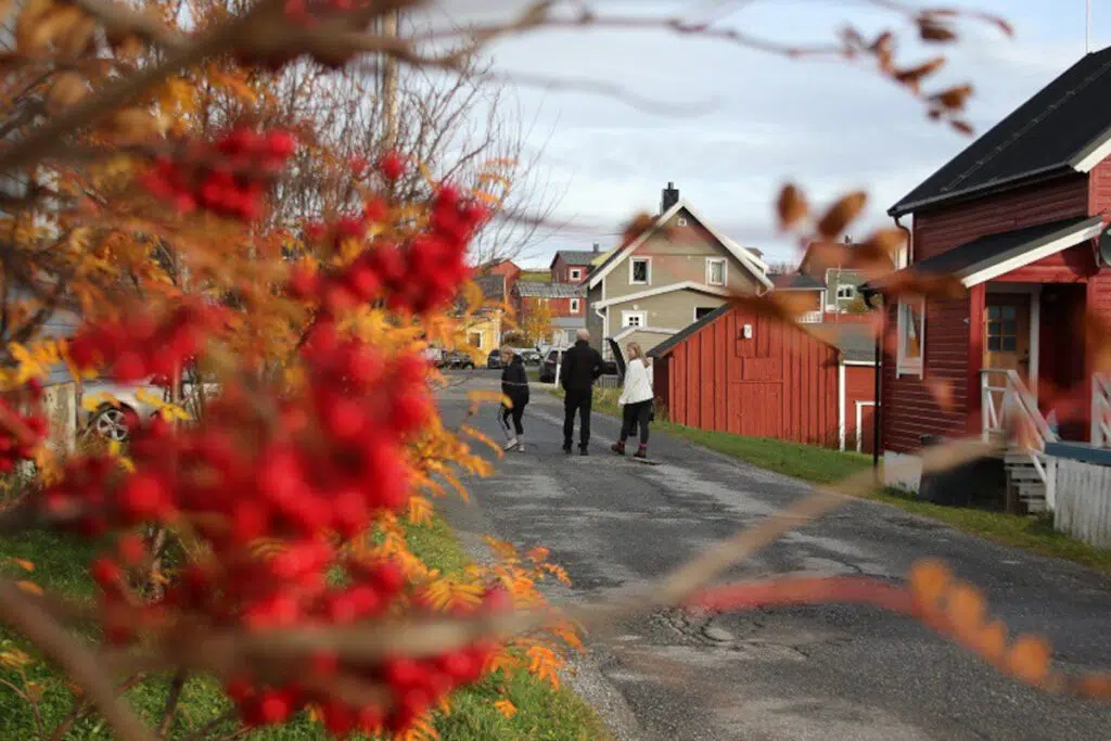 Samimatkat-ruskamatkat Itä-Norjaan. Pykeijan taloja ruska-aikaan.
