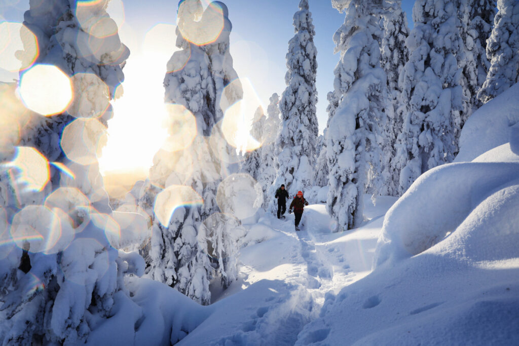 Samimatkat-tour-operator-Travel-agency-near-Koli-Easten-Finland-kuva: Visit Karelia