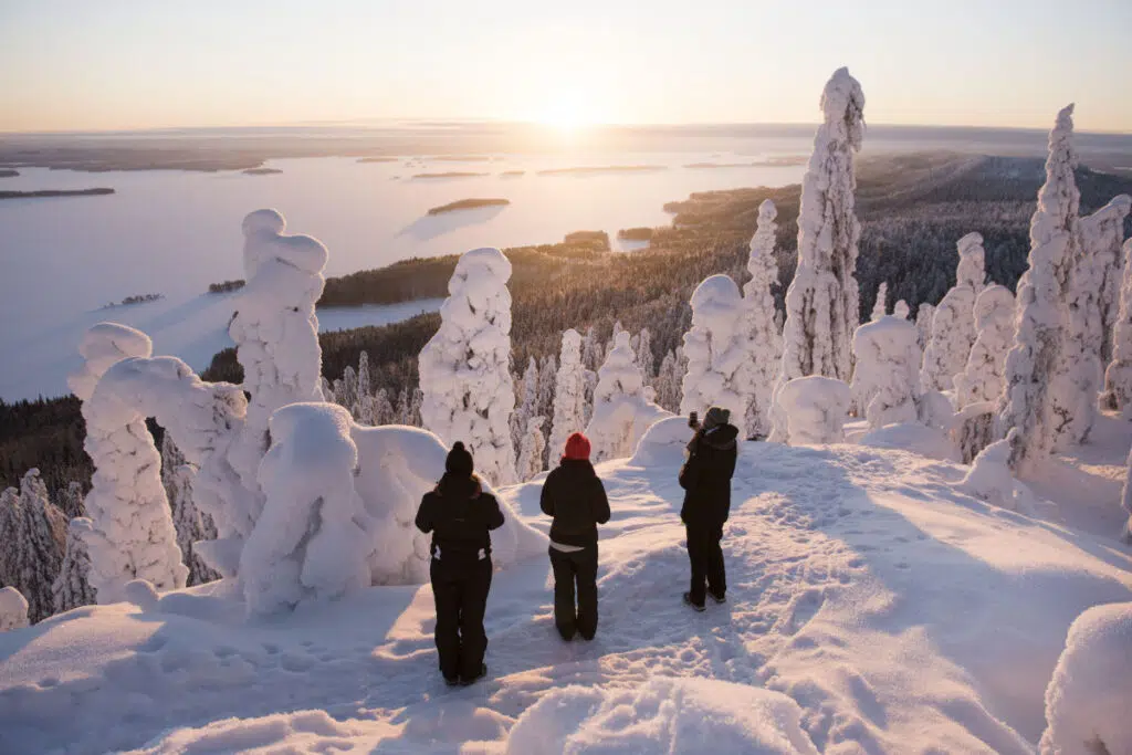 Samimatkat tour operator in Eastern Finland, photo: Koli National Park in Wintertime, Jussi Helttunen