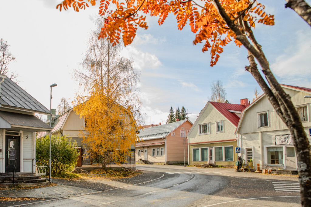 Samimatkat-tour-operator-travel-agency-photo-wooden-Juuka