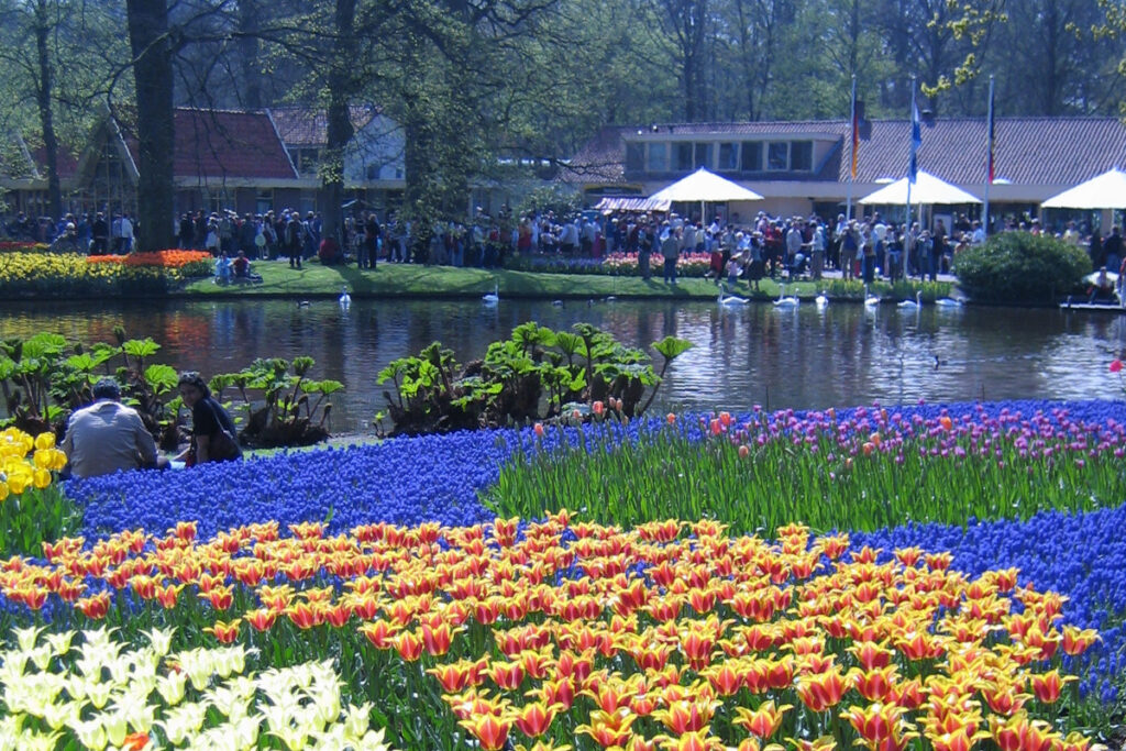 Samimatkat-tulppaanimatkat Keukenhof - Amsterdam, kukkavirta Keukenhofissa
